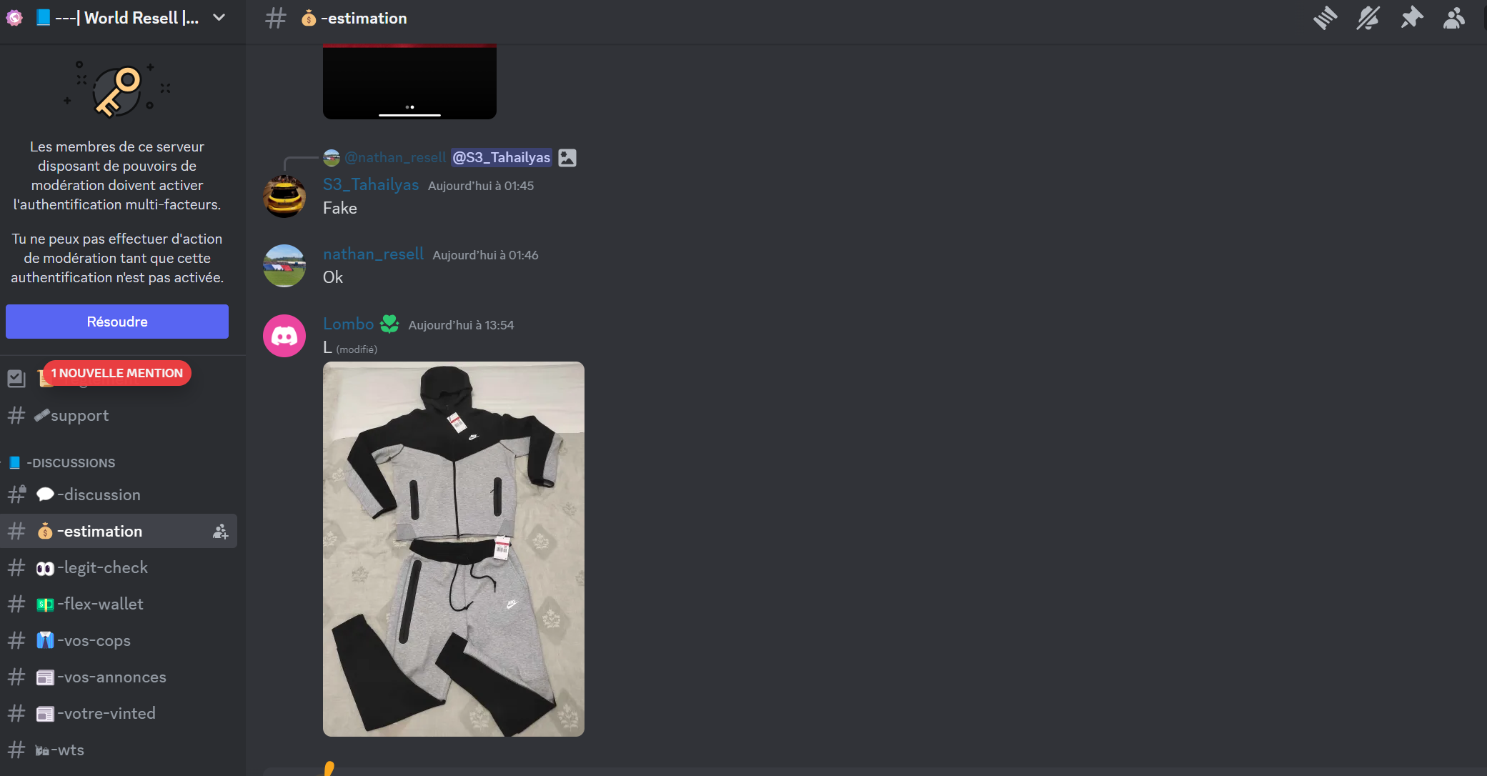 Exemple sur Discord de notre bot vinted gratuit WorldResell