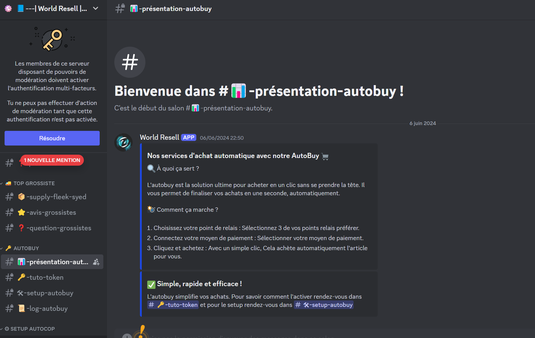 Exemple sur Discord de notre bot vinted gratuit WorldResell